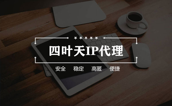 【天津代理IP】如何快速搭建代理IP？怎么检查代理的效果？